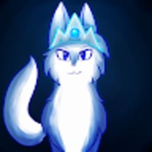 Meet your Posher, Evan